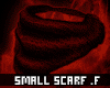 ✘ Small Scarf [F]
