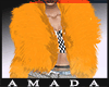 AD Yadixy Orange Fur