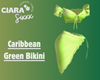Caribbean Green Bikini