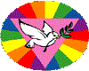 Rainbow Dove