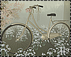 Couple Poses Bicycle Luv