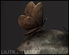 H! Moth Skull II