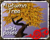 *Jo* Tree Autumn Poses