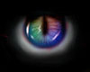 Rainbow Cat Eyes