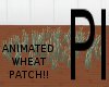 PI - Moving Wheat Patch