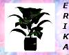 pr plant5