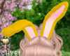 C~Bunny Yellow Fur Ears