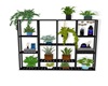 plant w/ shelves
