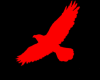 Ligth Red Crow crw1-crw4