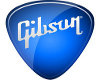 Gibson Guitar Pick