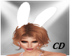 CD Bunny Ears Animated W