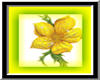 Flower Yellow 2