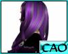 CAO Purple Fusion Baylee