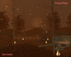 Autumn Forest NI