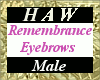 Remembrance Eyebrows - M