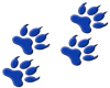 Blue Tiger paws