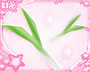 . leek aura
