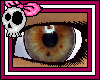 Detailed Brown Eyes