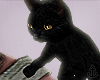 ⚓ Black Kitty Animated