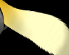 lemon tail|Collab