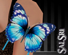 Blue Arm Butterfly