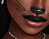 Black Cat Makeup