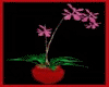 pink orchids w/vase der.