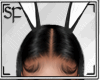[SF]Bunny Ears F