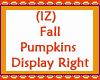 Fall Pumpkins Display R