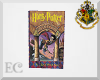 EC| Harry Potter SS Book