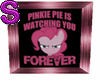 Pony Pinkie Picture