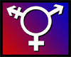lesbian badge