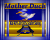 Mother Duck Kid Swing