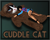 Cuddle Cat