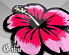 Pink Flowers Rugs