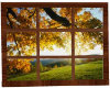 Country Playroom window