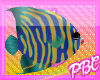 *PBC* Berry Fish