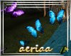 terra butterfly animated