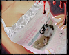 ! cute kittens ;-; <333