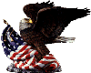 Eagle and Flag