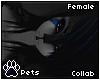 [Pets] Fayr 2.0 |hair v5