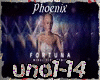 [Mix]    Fortuna     Rmx