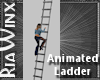 Wx:HR Animated Ladder