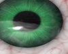 Greenest of Green Eyes