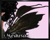 Fairy Wings Dark