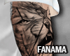 FA | Arm tattoo tiger
