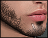 s. Beard Asteri AC1
