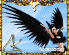 LK" Black Arms Wings