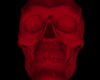 Red Skull / Sit