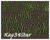 Hideaway Ground Grass